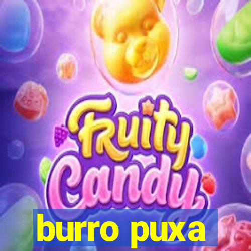 burro puxa