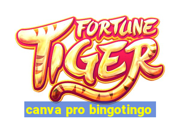 canva pro bingotingo