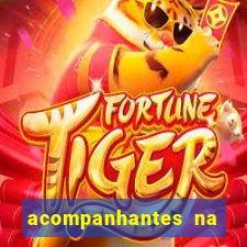 acompanhantes na vila nova cachoeirinha sp