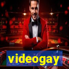 videogay