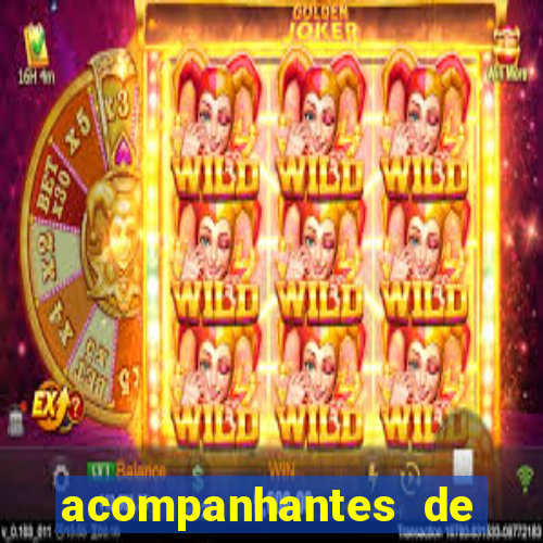 acompanhantes de feira de santana