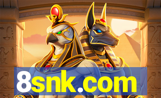 8snk.com