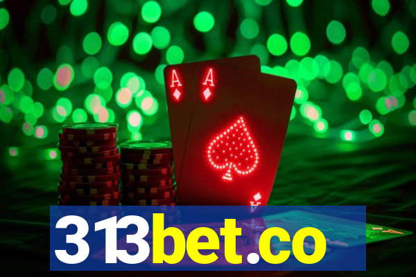 313bet.co