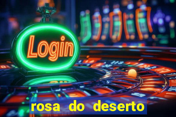 rosa do deserto lilac frost