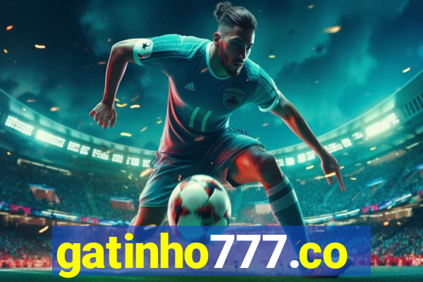 gatinho777.co