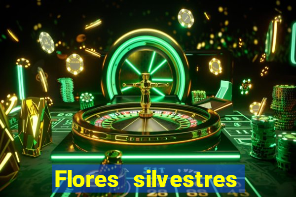 Flores silvestres brasileiras brasileiras flores silvestres nomes e imagens