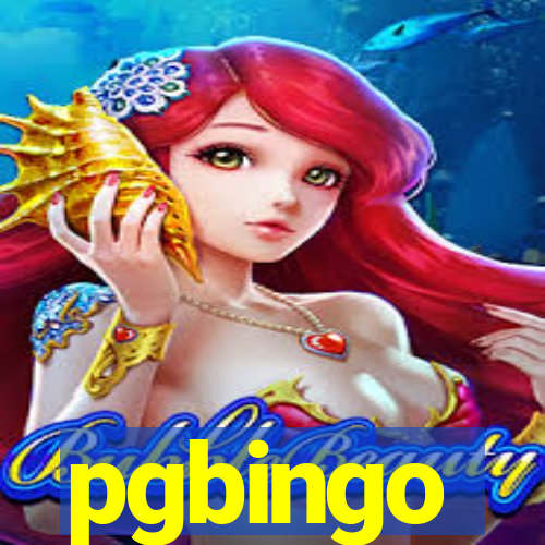 pgbingo