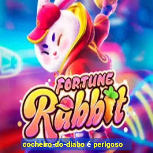 cocheiro-do-diabo é perigoso