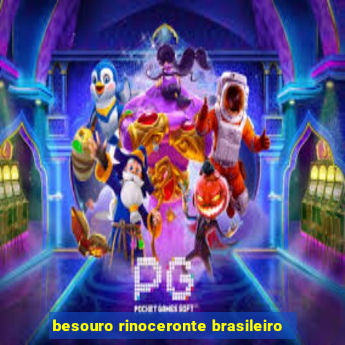 besouro rinoceronte brasileiro