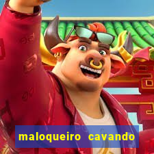 maloqueiro cavando sua cova portal