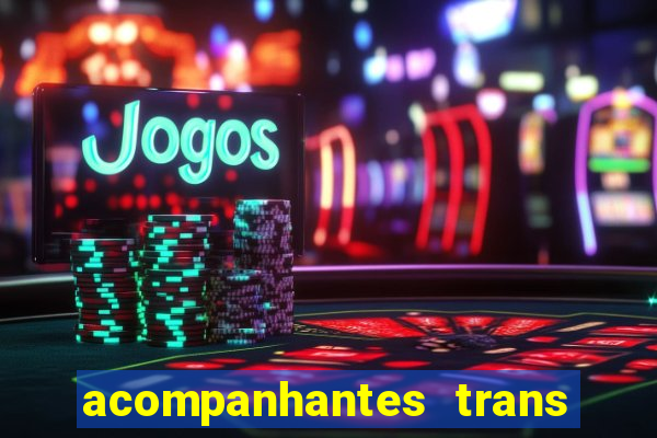 acompanhantes trans baixada fluminense