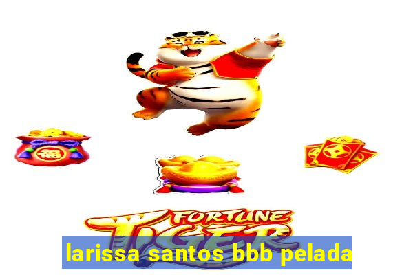 larissa santos bbb pelada