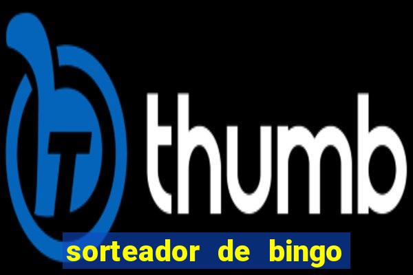 sorteador de bingo 90 bolas online