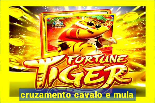 cruzamento cavalo e mula