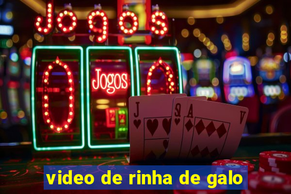 video de rinha de galo