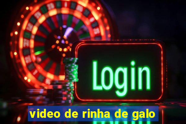 video de rinha de galo