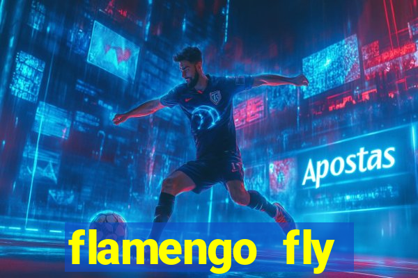 flamengo fly emirates ultimas noticias