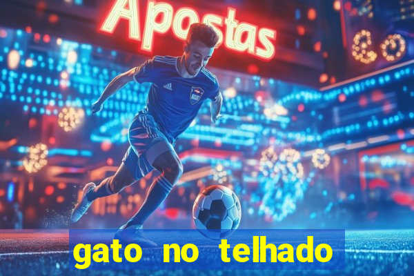 gato no telhado significado espiritual