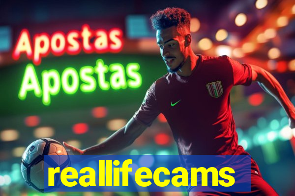 reallifecams