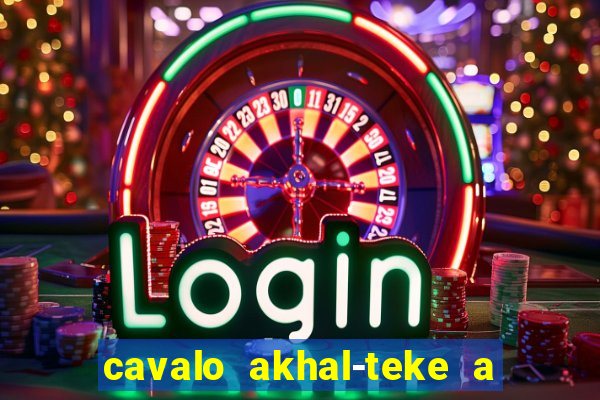 cavalo akhal-teke a venda no brasil cavalo akhal teke no