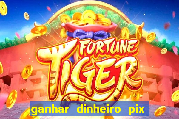 ganhar dinheiro pix de verdade bingo