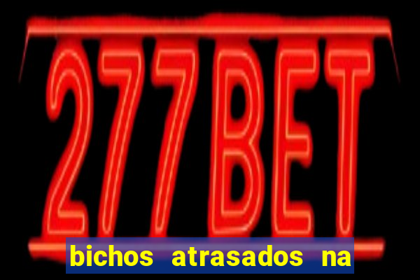 bichos atrasados na loteria federal