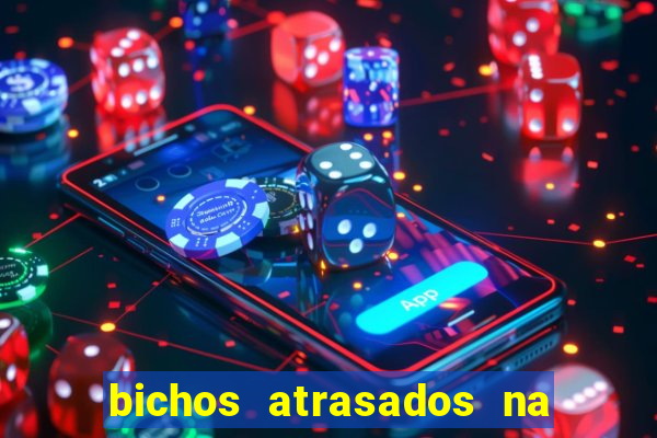bichos atrasados na loteria federal
