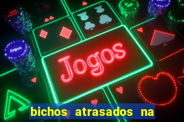 bichos atrasados na loteria federal