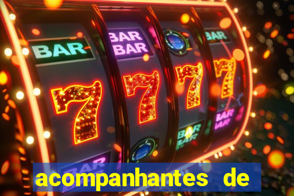 acompanhantes de luxo porto feliz