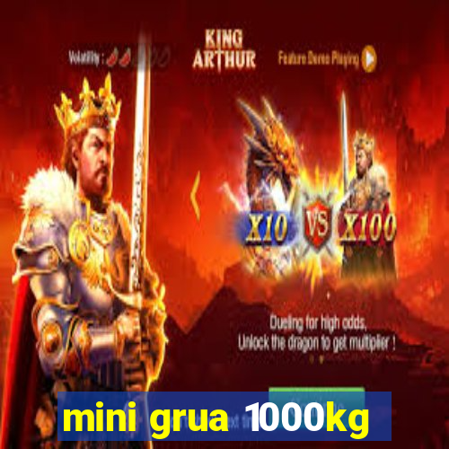 mini grua 1000kg