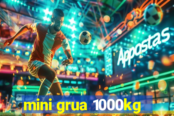 mini grua 1000kg