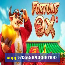 cnpj 51365893000100
