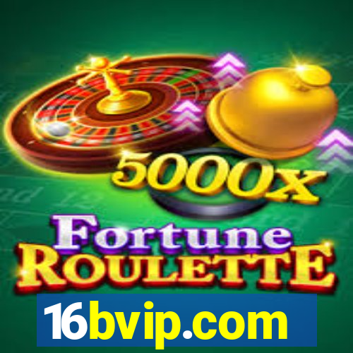 16bvip.com
