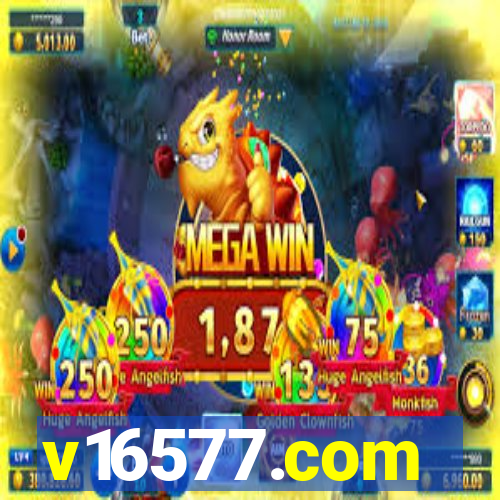 v16577.com