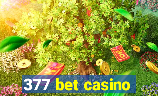 377 bet casino