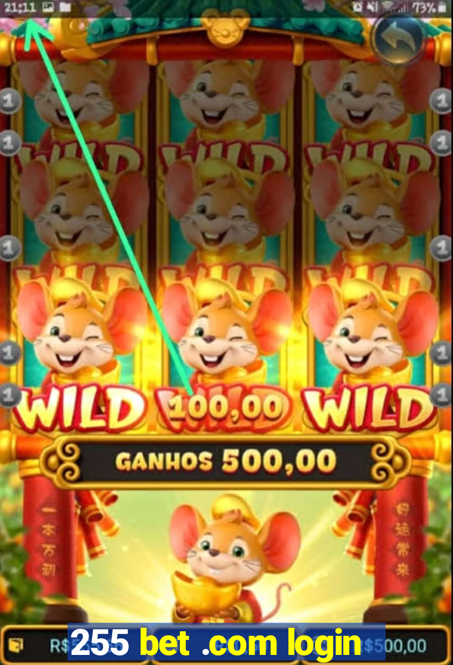255 bet .com login