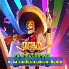 neca santos acompanhante