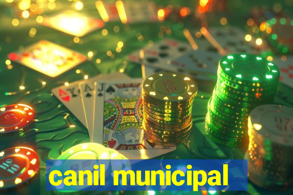 canil municipal