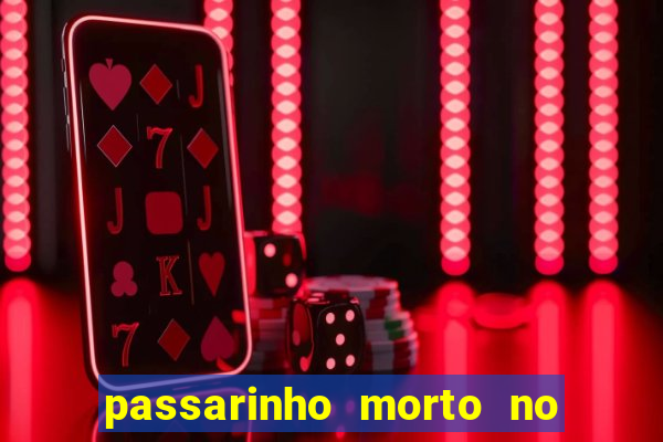 passarinho morto no quintal significado espiritual