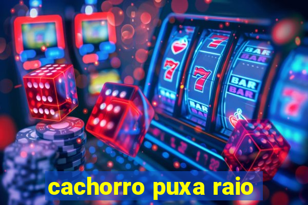 cachorro puxa raio