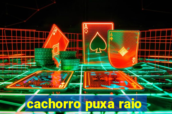 cachorro puxa raio