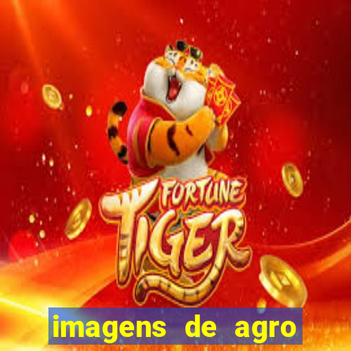 imagens de agro racoes guarani