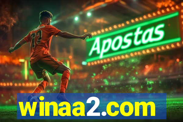 winaa2.com