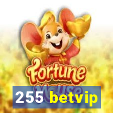 255 betvip
