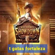 t gatas fortaleza