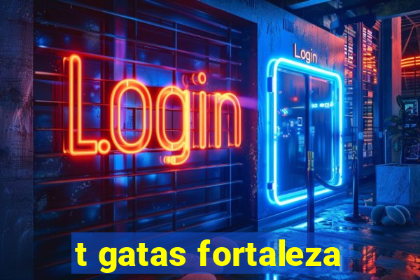 t gatas fortaleza