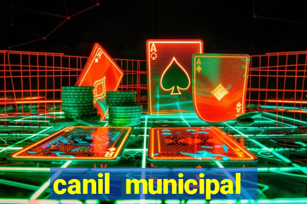 canil municipal porto alegre