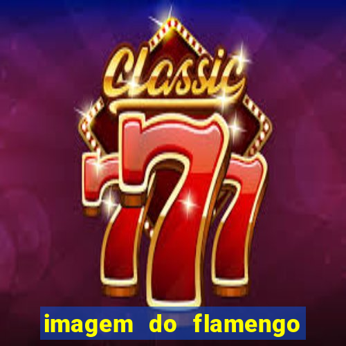 imagem do flamengo para perfil