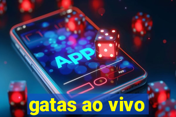 gatas ao vivo