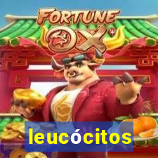 leucócitos segmentados altos
